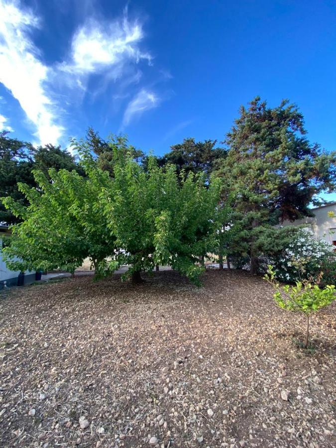 La Casa Del Gelso Lägenhet Tonnara di Bonagia Exteriör bild