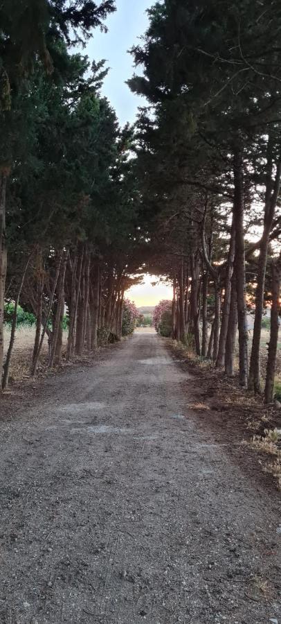 La Casa Del Gelso Lägenhet Tonnara di Bonagia Exteriör bild