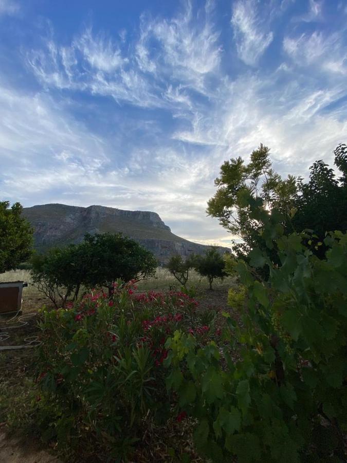 La Casa Del Gelso Lägenhet Tonnara di Bonagia Exteriör bild